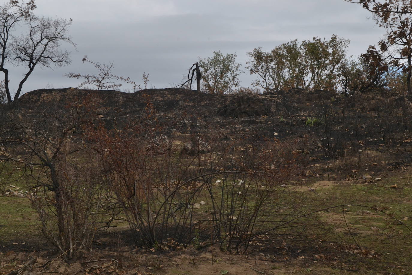 Los ganaderos de Cipérez piden “aprender de los errores”