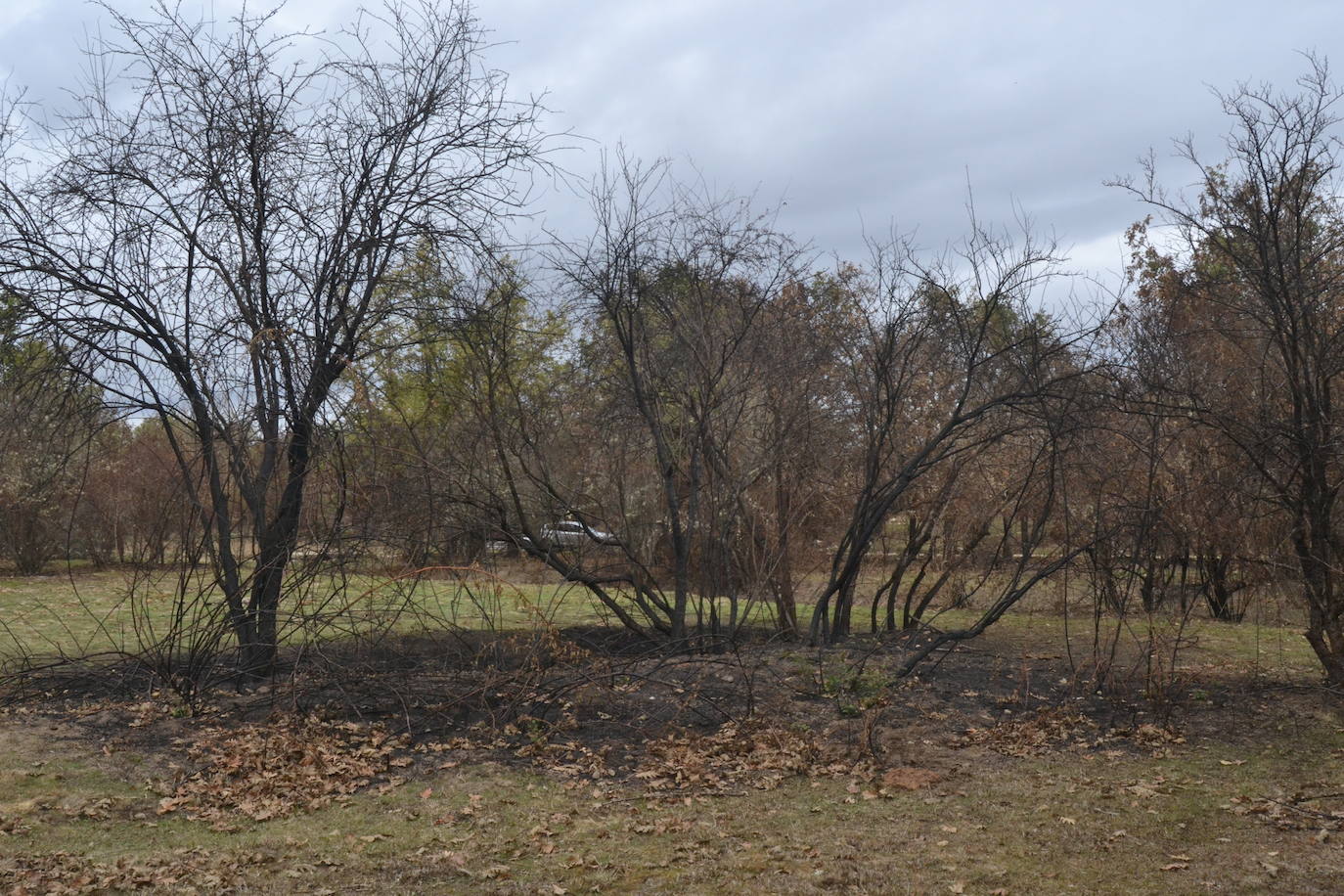 Los ganaderos de Cipérez piden “aprender de los errores”