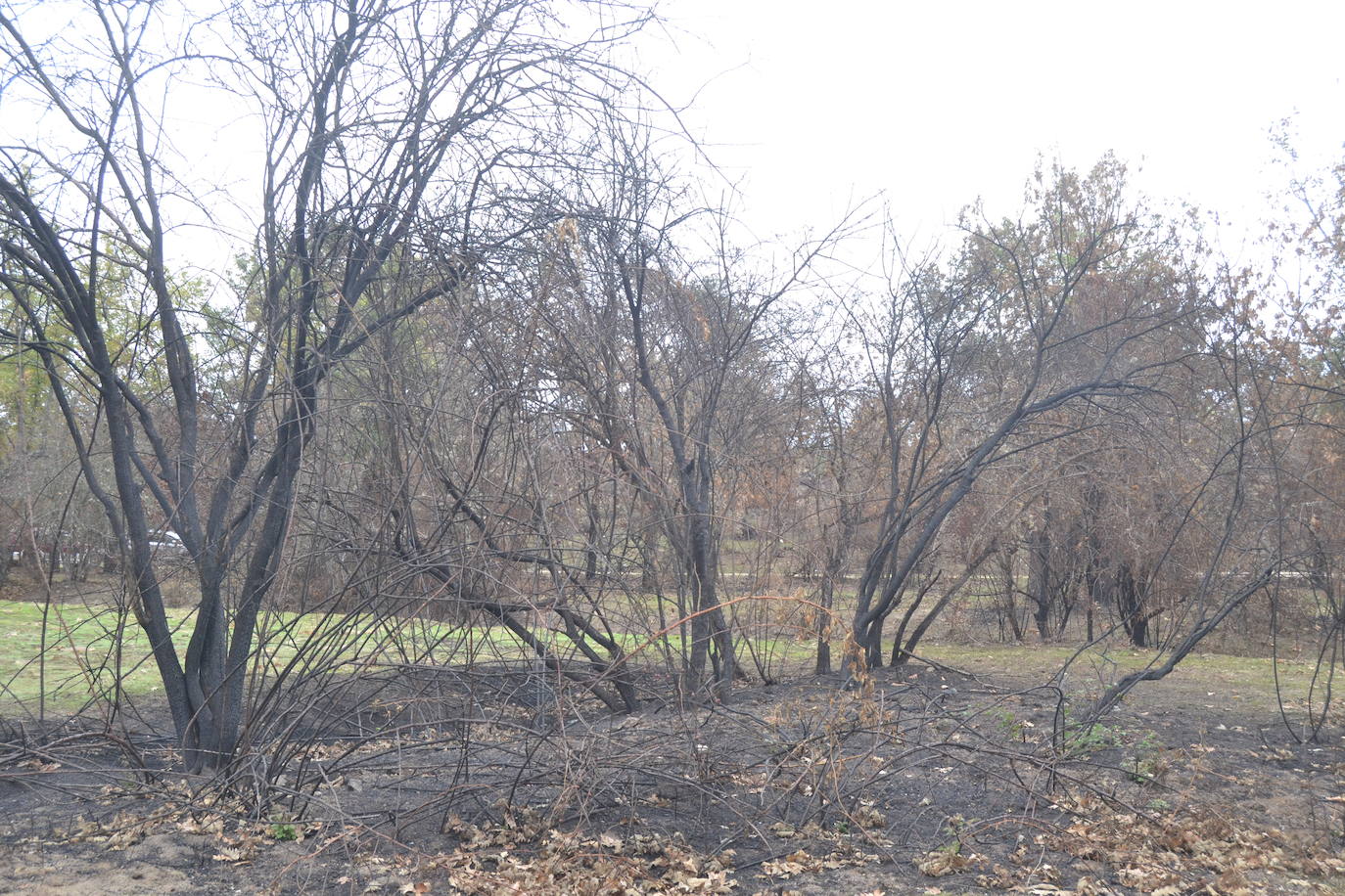 Los ganaderos de Cipérez piden “aprender de los errores”