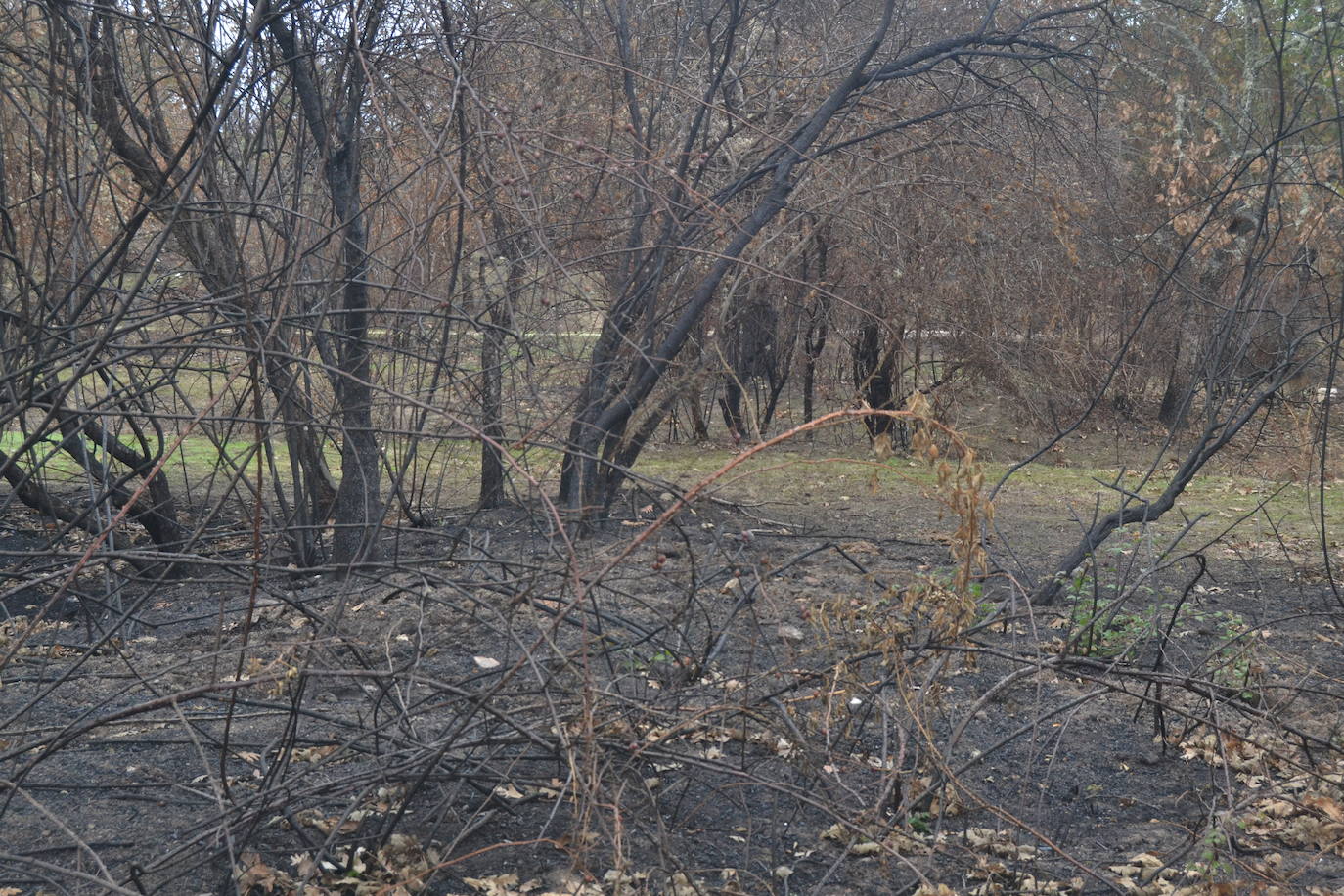 Los ganaderos de Cipérez piden “aprender de los errores”