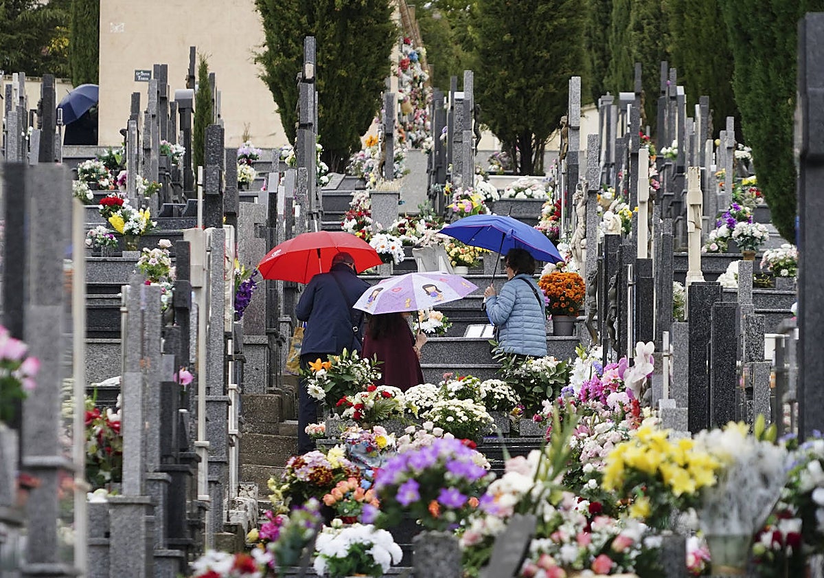 Imagen principal - «Es la primera vez que hacen esto»