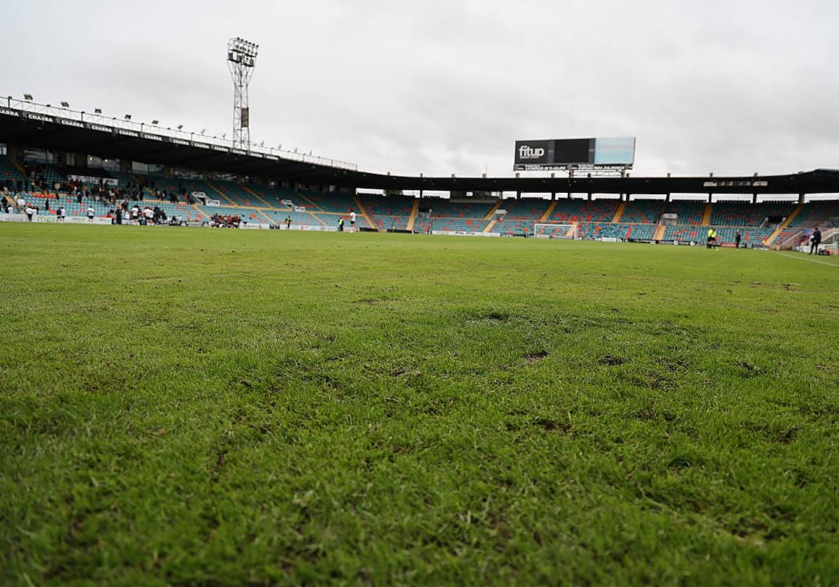 Vista del Helmántico a ras del césped.