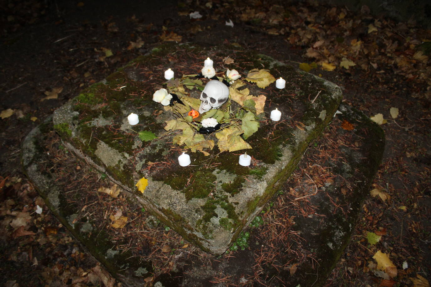 Niños y mayores disfrutan en El Tejado