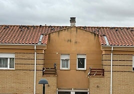 Palomas posadas en un tejado, sin miedo al búho de cerámica colocado por los vecinos para ahuyentarlas.