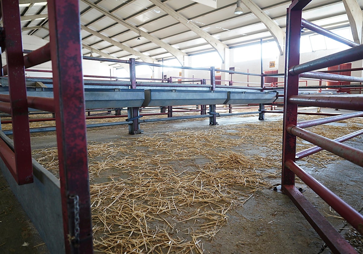Mercado de ganados de Salamanca, vacío estos dos últimos lunes.