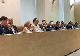 Pleno del Ayuntamiento de este jueves.