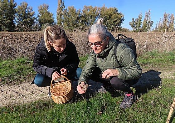 Dos mujeres participan en una actividad de recogida de setas llevada a cabo en Rágama.