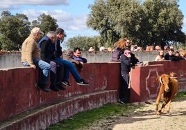 Capea de los vecinos de Villaflores