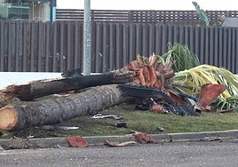 Imagen del lugar del accidente.