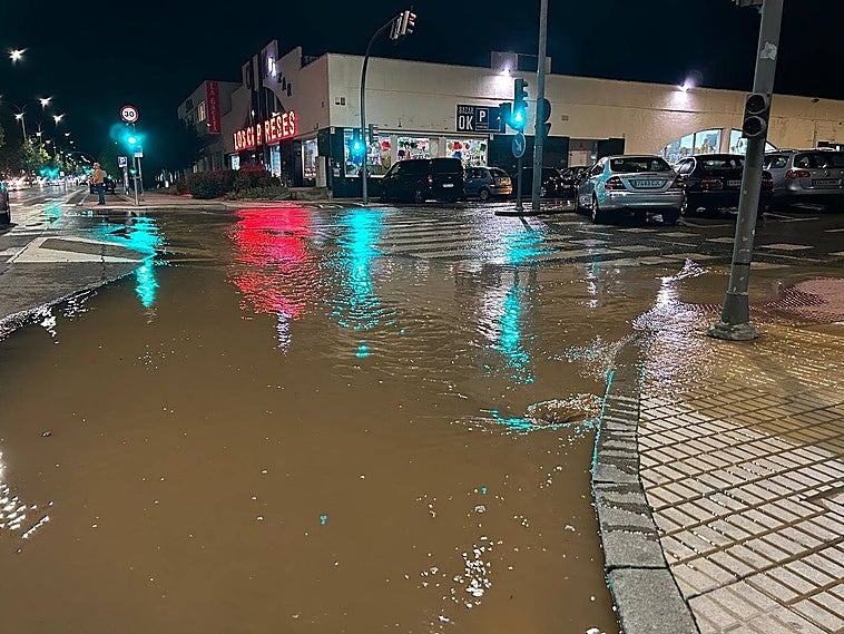 Imagen del Paseo de los Madroños inundado.