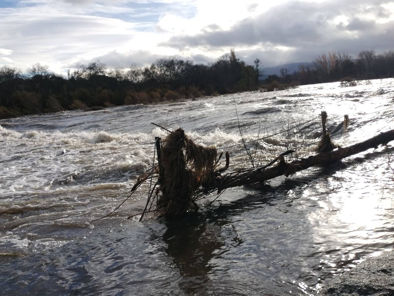 Crecida del Tormes por Puente del Congosto: un garaje inundado, muros derribados o farolas dobladas