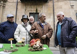Juan Manuel Velasco explica a los salmantinos los efectos que produce la seta matamoscas.