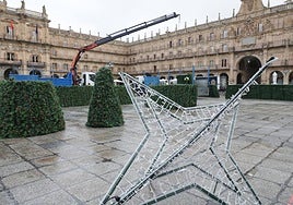 El primer día de trabajo para instalar el gran árbol de Navidad en la Plaza, en imágenes