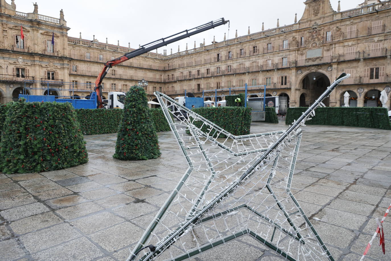 El primer día de trabajo para instalar el gran árbol de Navidad en la Plaza, en imágenes