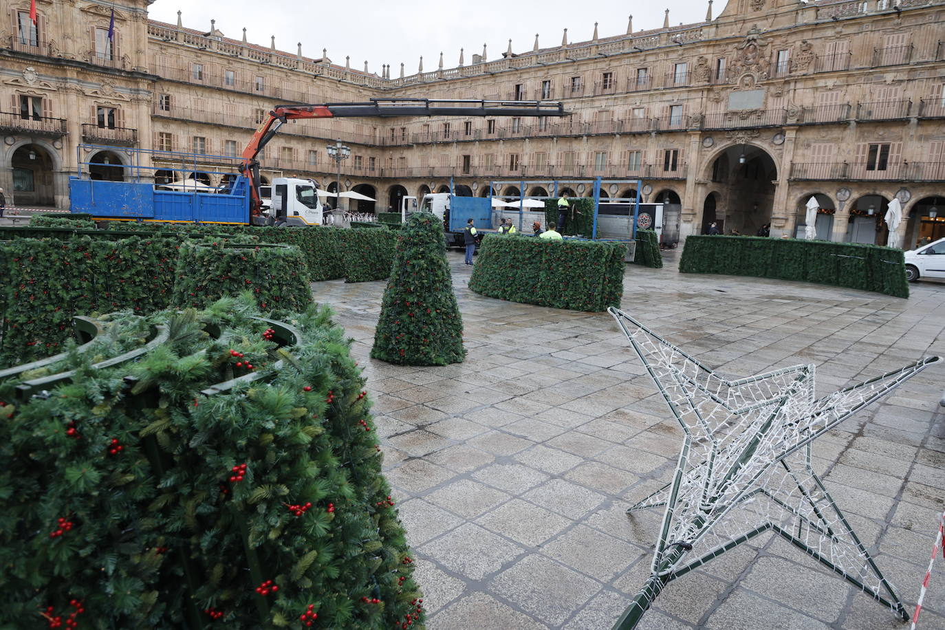 El primer día de trabajo para instalar el gran árbol de Navidad en la Plaza, en imágenes