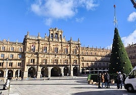 El árbol de Navidad ya luce en la Plaza Mayor