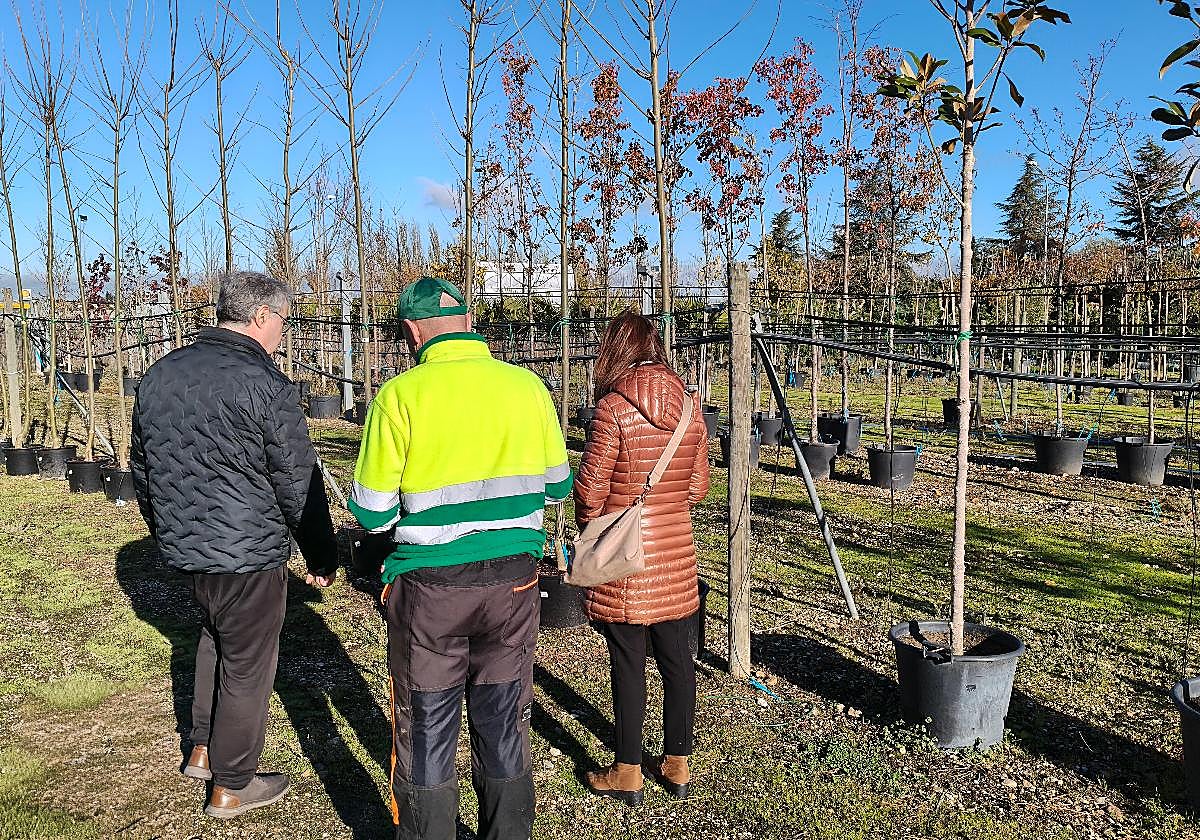 El concejal de Parques y Jardines, Ángel Manso, con los árboles.