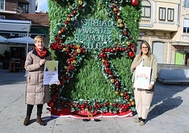 Yolanda Alonso y Laura Martín, junto al jardín vertical de la Plaza Mayor, adornado ya con elementos navideños.
