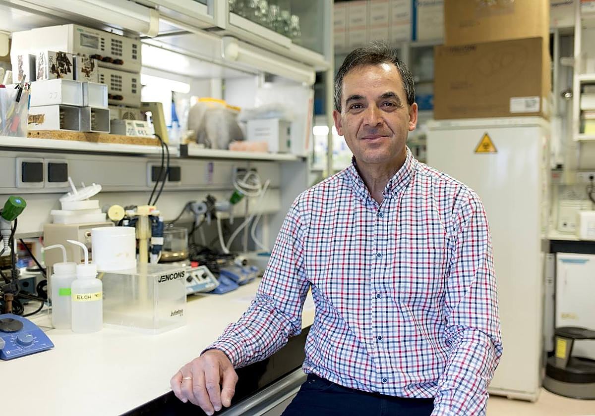 Isidro Sánchez-García, investigador del CSIC, en el Centro de Investigación del Cáncer de Salamanca.