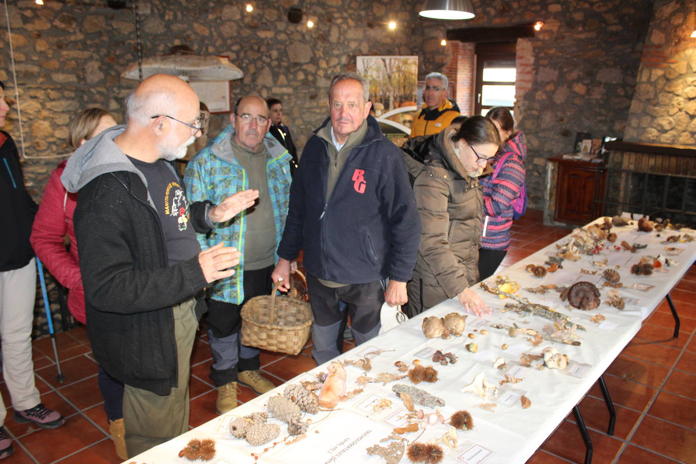 Linares de Riofrío disfruta de su jornada micológica pese al mal año de setas