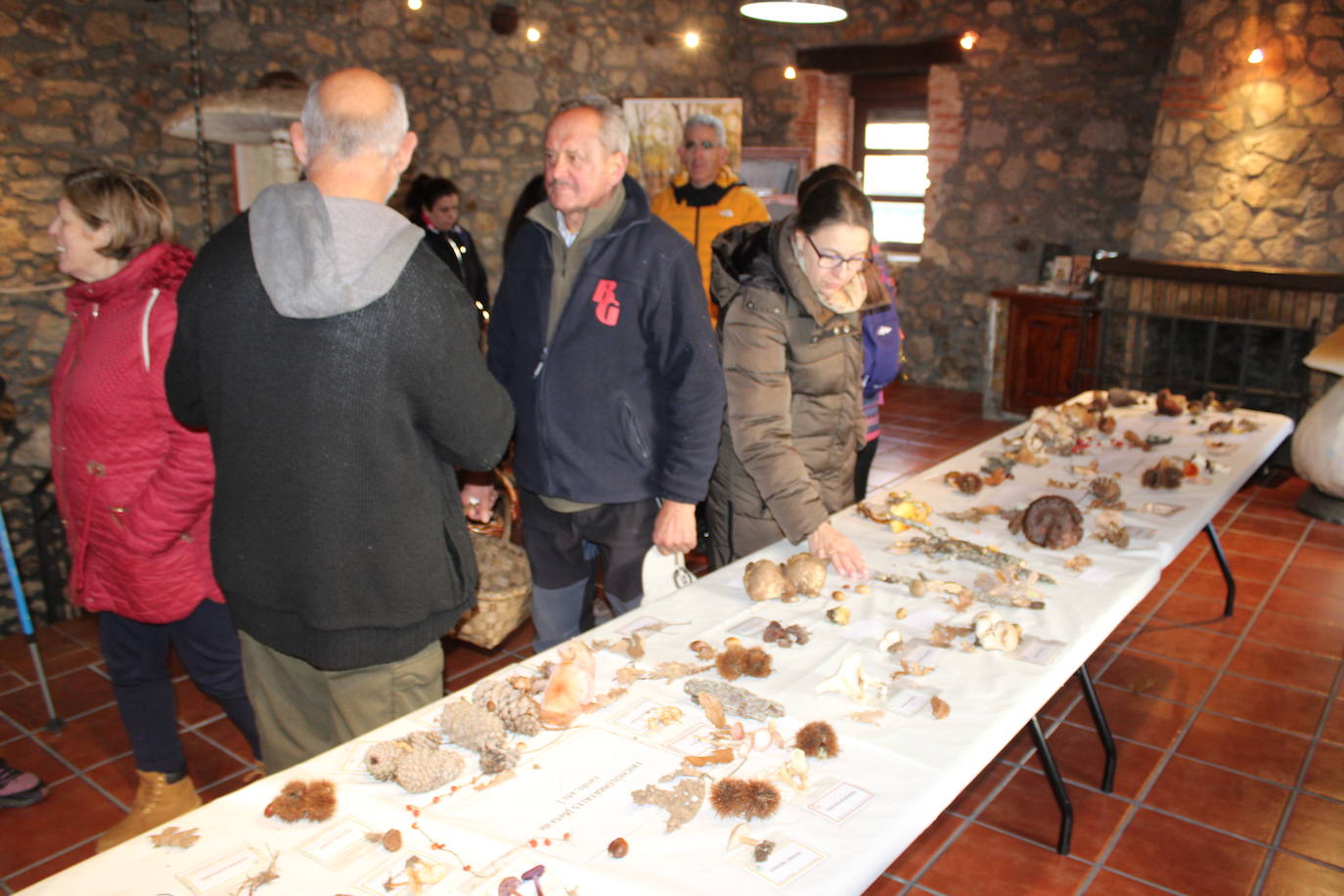 Linares de Riofrío disfruta de su jornada micológica pese al mal año de setas