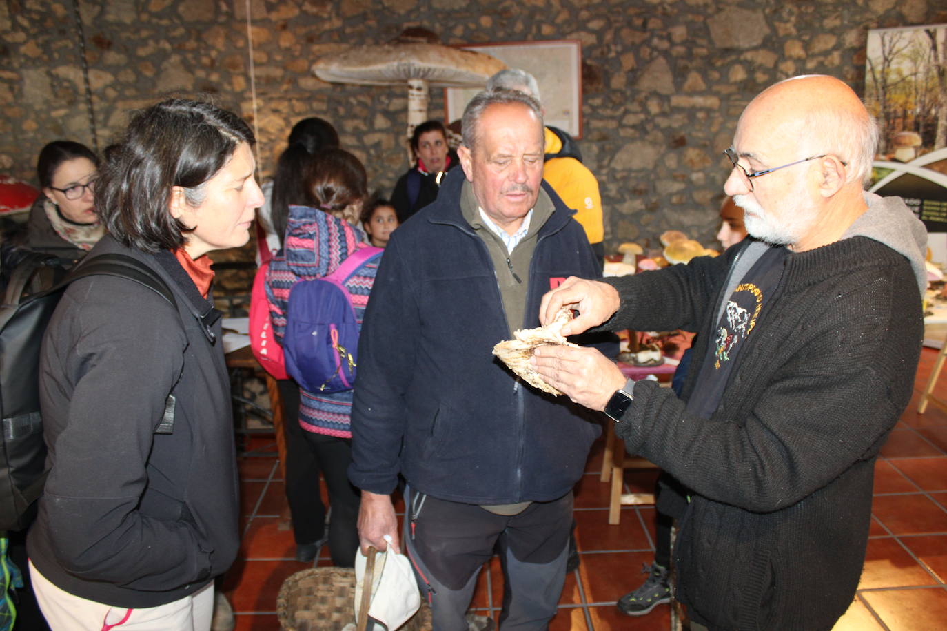 Linares de Riofrío disfruta de su jornada micológica pese al mal año de setas