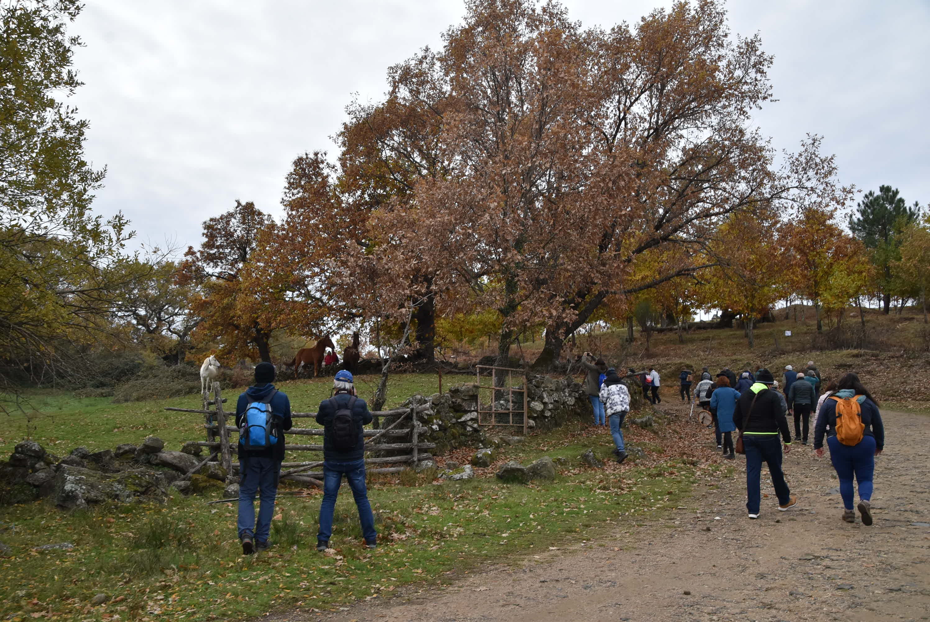 El Festival de la Candela despide su segunda edición con más de 2.500 participantes