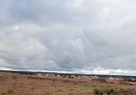 Parcela que sale a subasta ubicada en Martín de Yeltes.