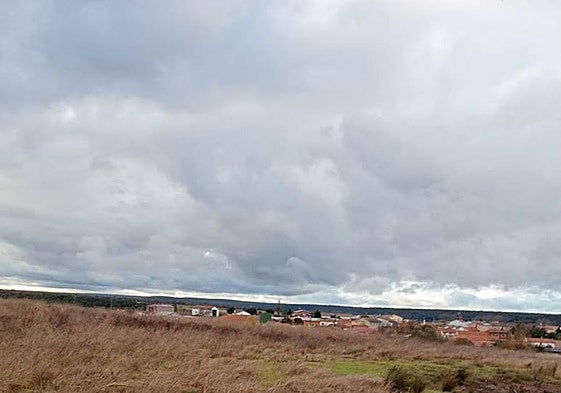 Parcela que sale a subasta ubicada en Martín de Yeltes.