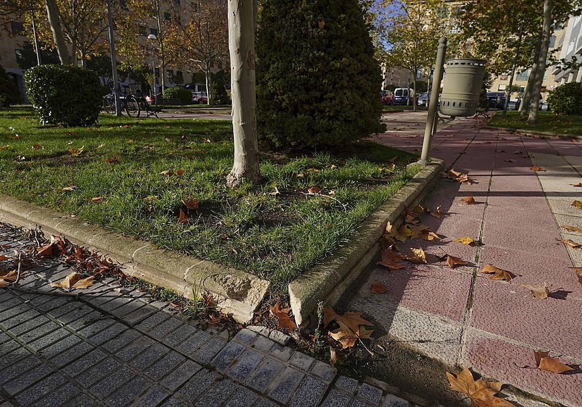 Cualquiera no mira por donde pisa