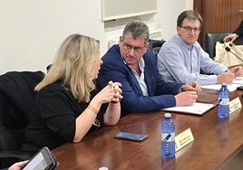 Instantes previos al inicio del pleno en Cabrerizos.