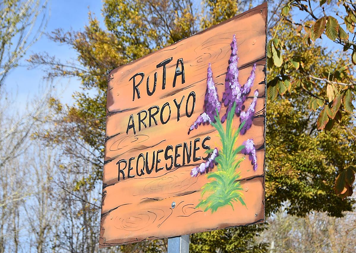 Imagen secundaria 1 - Nueva ruta en Santa Marta que conecta sus espacios naturales