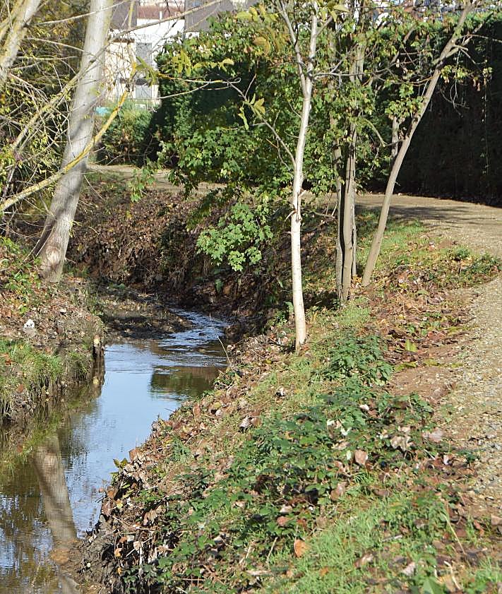 Imagen secundaria 2 - Nueva ruta en Santa Marta que conecta sus espacios naturales