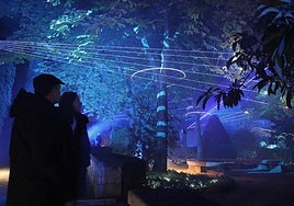 Una experiencia única: así luce El Huerto de Calixto y Melibea tras convertirse en un jardín mágico por Navidad