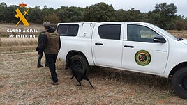 Agentes del Seprona, durante una investigación por otro delito de maltrato animal en la provincia.