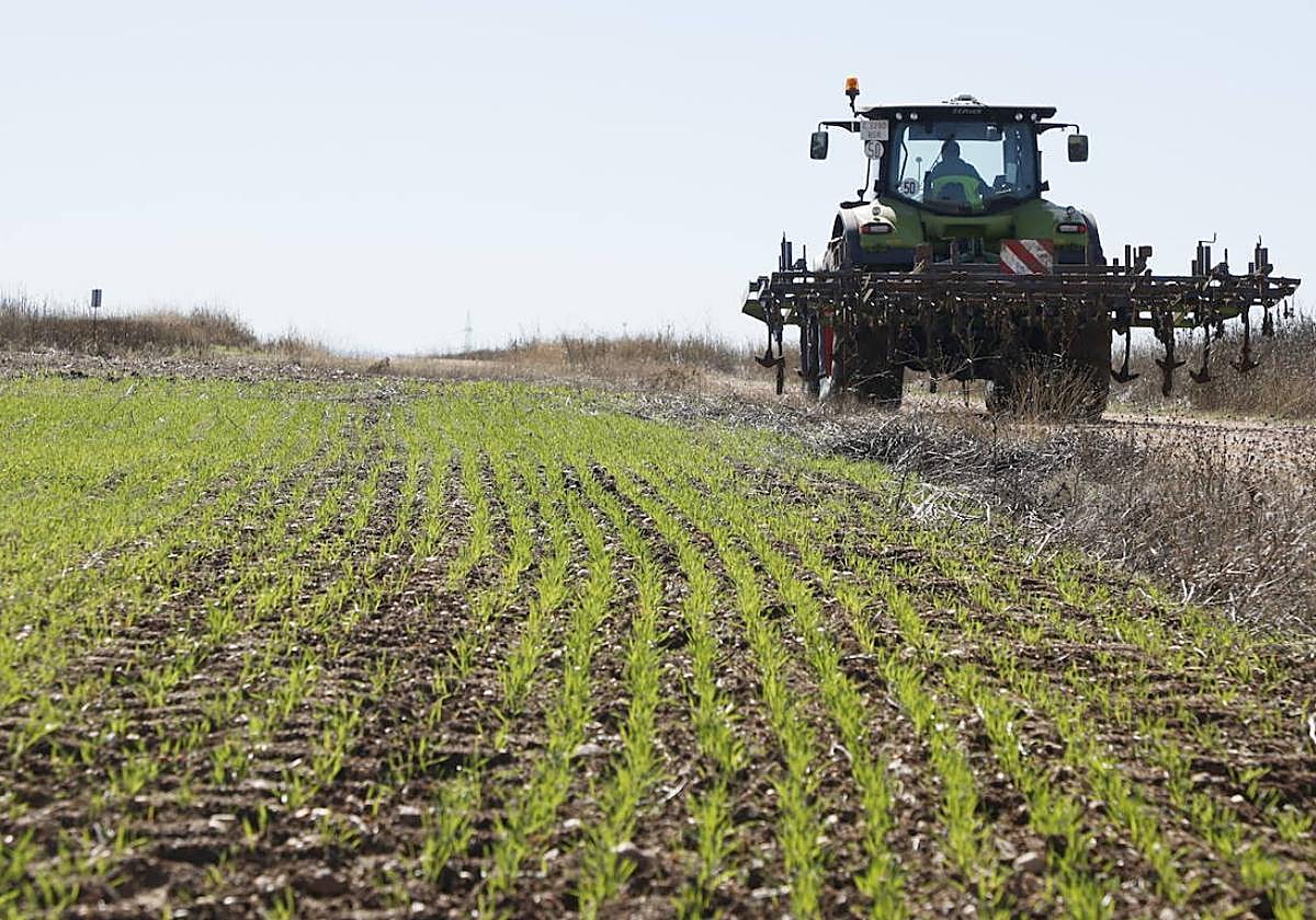 Un trabajador del sector agrícola con su tractor.