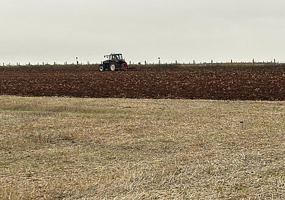 Los agricultores aprovechan la ausencia de lluvias para preparar las tierras.
