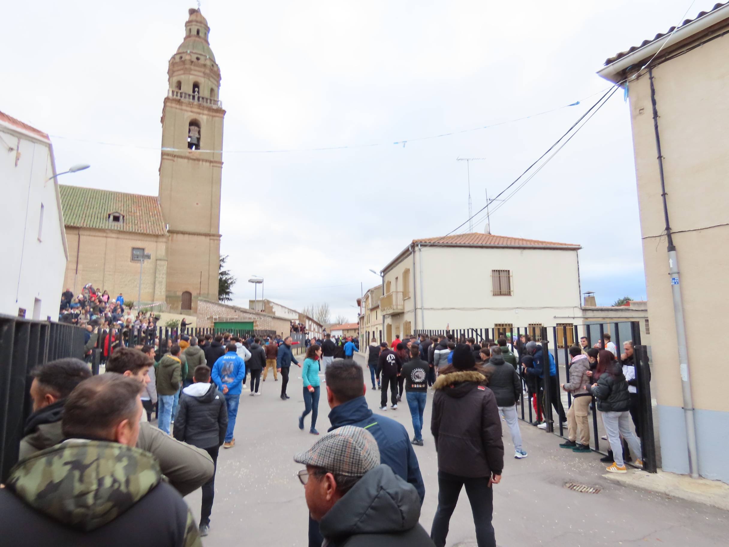 El Toro de San Andrés llena las calles de Palaciosrubios