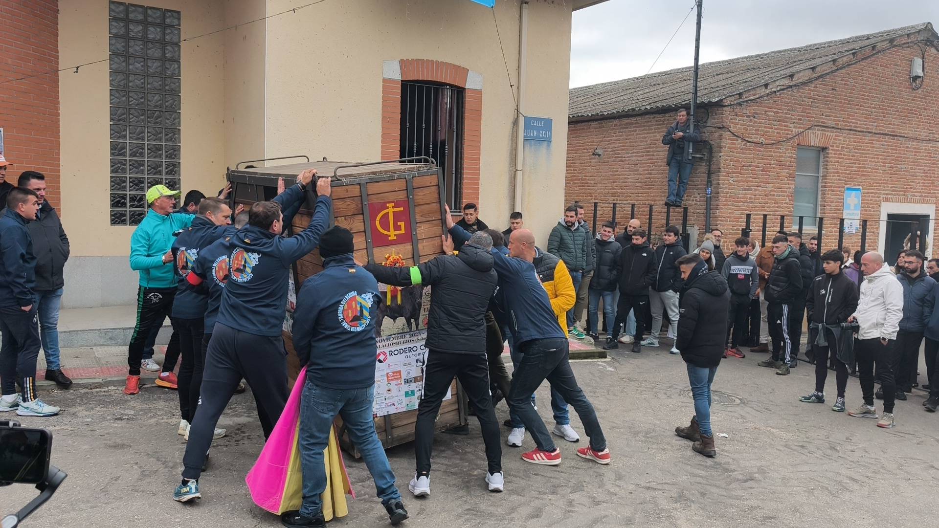 El Toro de San Andrés llena las calles de Palaciosrubios