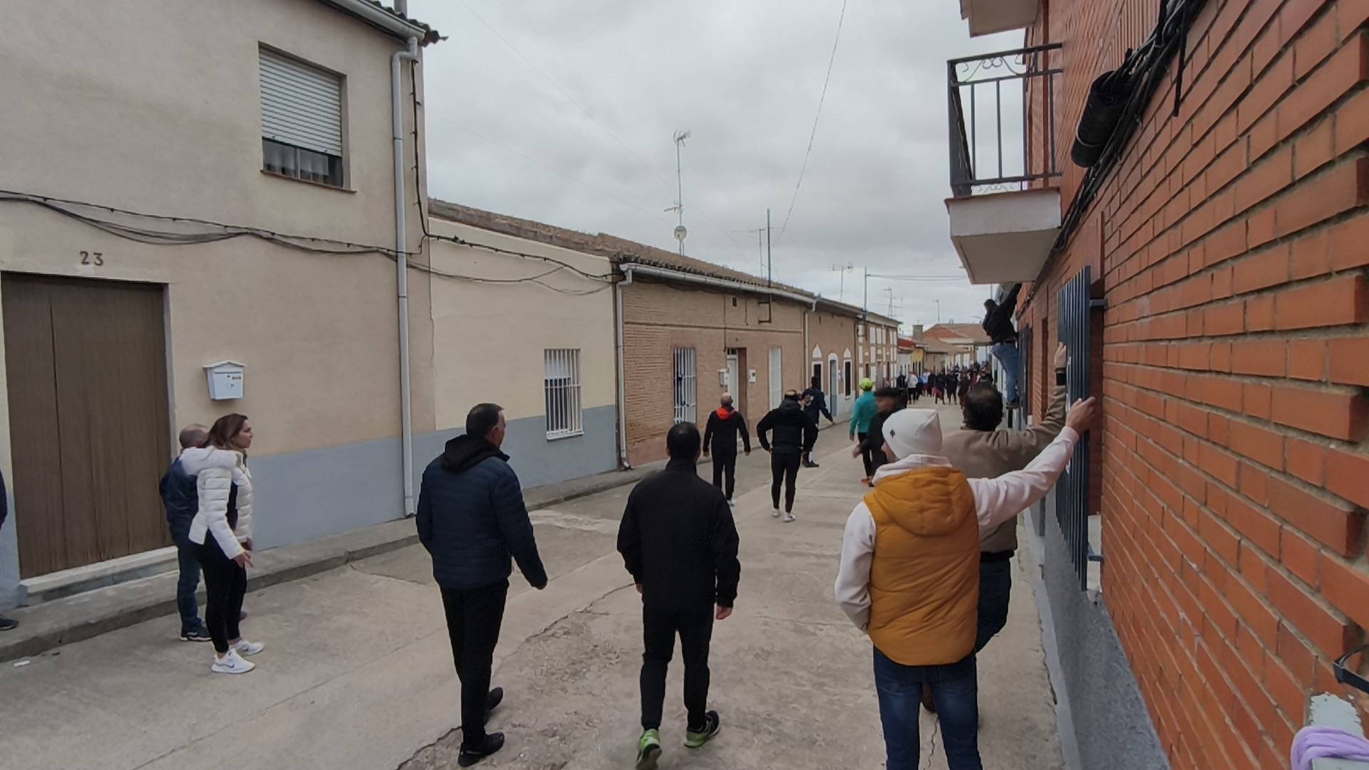 El Toro de San Andrés llena las calles de Palaciosrubios