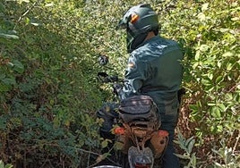 Un agente del Seprona.