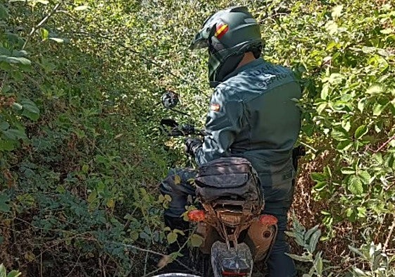 Un agente del Seprona.