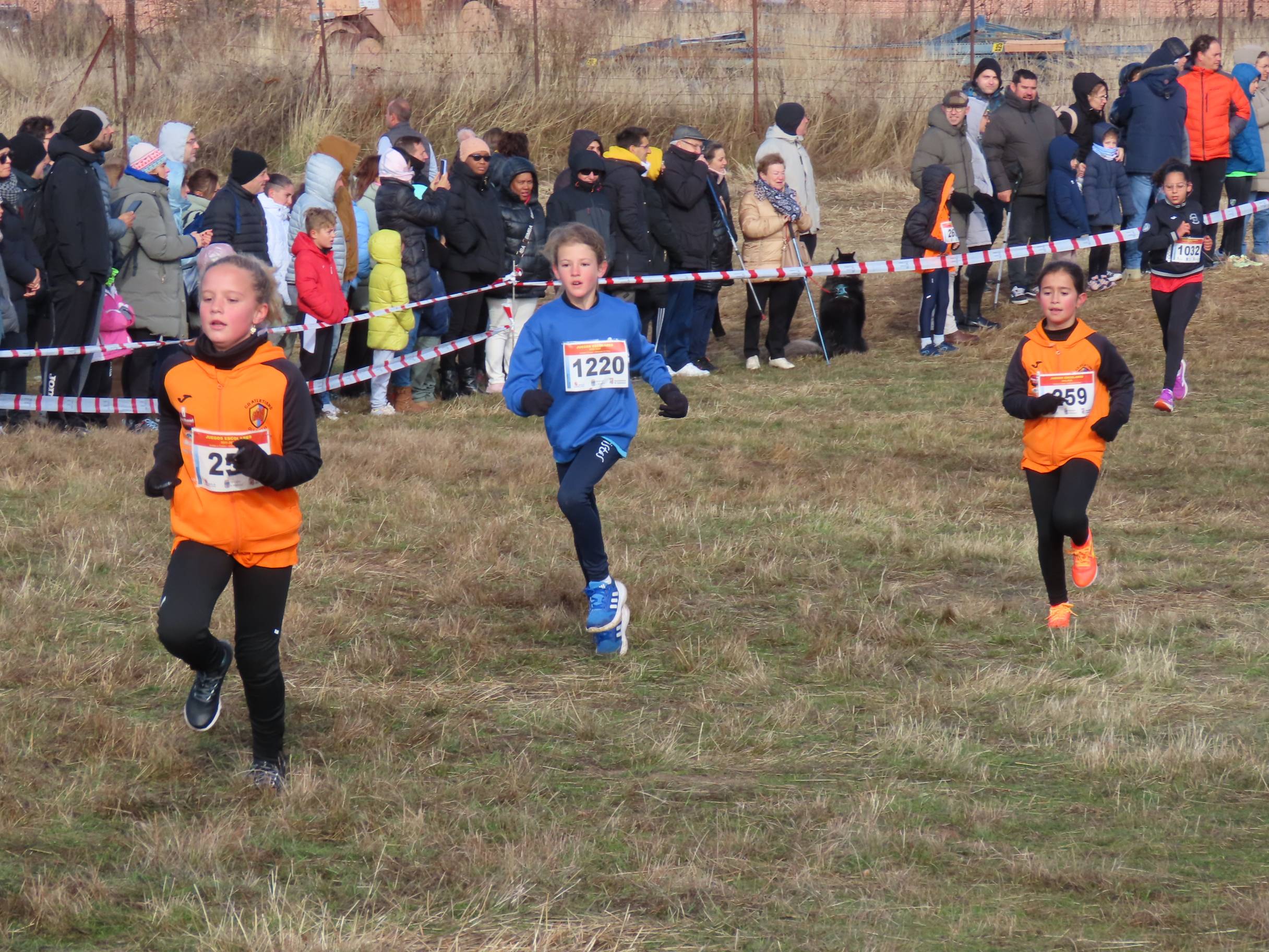 750 participantes en la Cross Popular Ciudad de Peñaranda