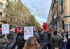 Qué ha ocurrido en Salamanca este domingo 30 de noviembre