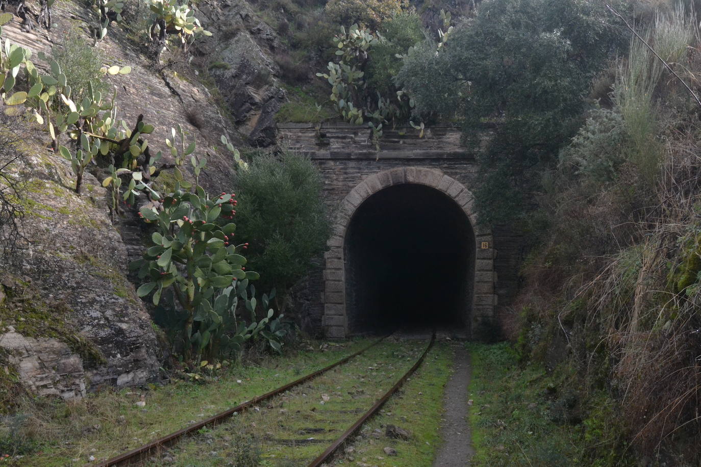 El Camino de Hierro estrena ruta y centro de visitantes