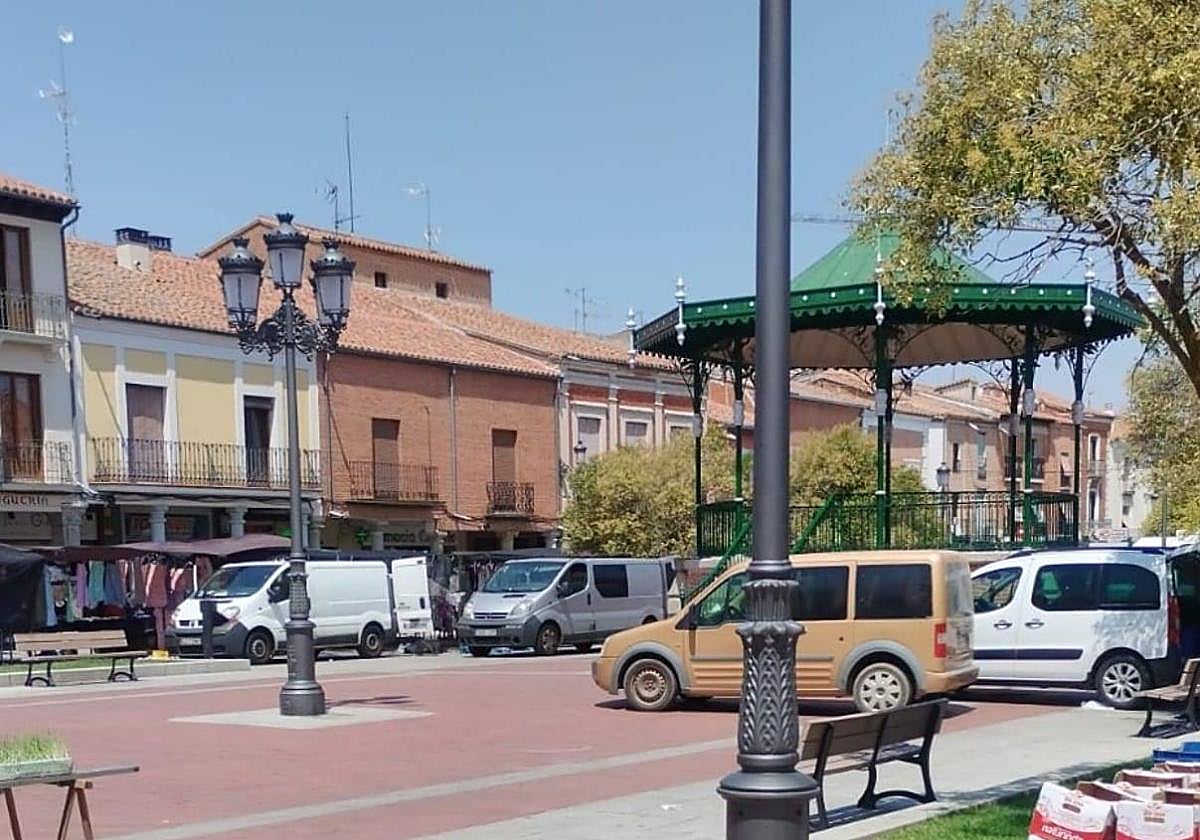 Mercadillo de Peñaranda de Bracamonte.