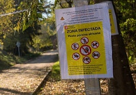Zona de cuarentena por la peste porcina africana en Cerdanyola del Vallés.