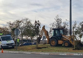Imagen de las labores de plantación.