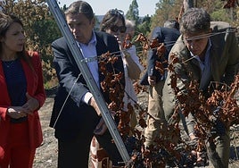 El ministro de Agricultura, Pesca y Alimentación, Luis Planas (c), durante su visita a las zonas afectadas por los grandes incendios de este verano, en A Rúa, Ourense.
