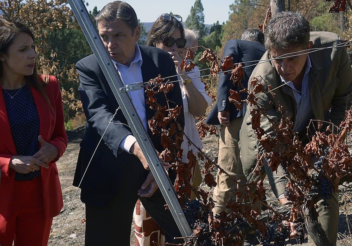 El ministro de Agricultura, Pesca y Alimentación, Luis Planas (c), durante su visita a las zonas afectadas por los grandes incendios de este verano, en A Rúa, Ourense.